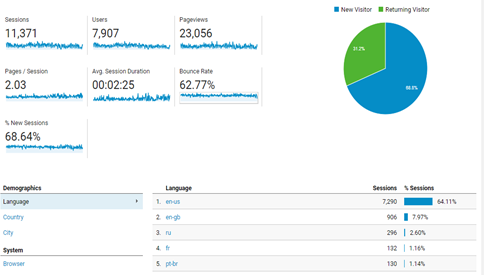 Visitor Analysis Report