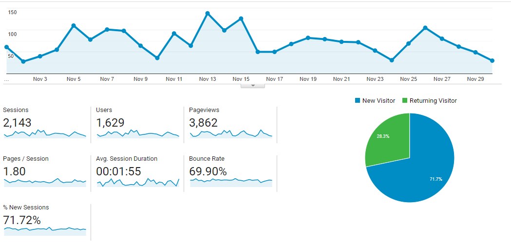 Visitor Analysis Report